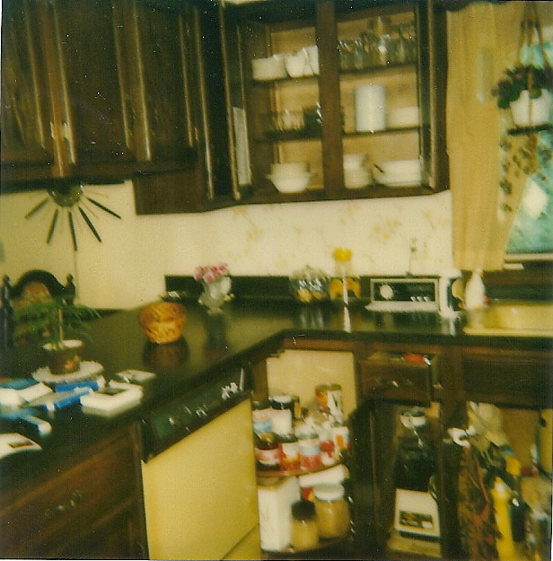 Kitchen Addition Photo