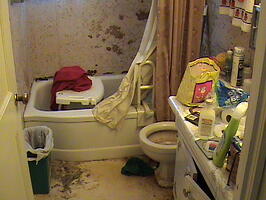 Heath Hazard Bathroom