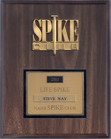 Spike Club Award