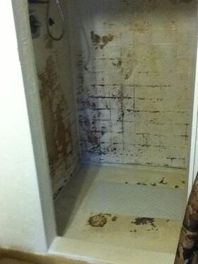 Water Damage Shower