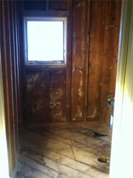 Bathroom demolished to bare studs. Window removed for walk-in shower installation.