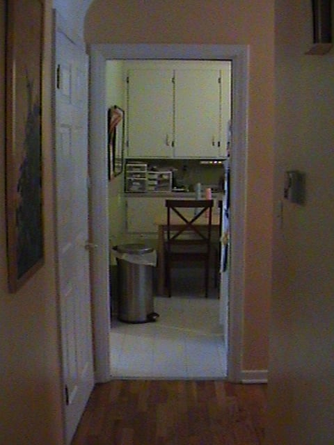 Entryway into kitchen before hallway wall was removed.